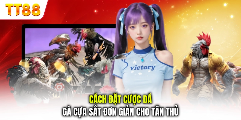 Cách đặt cược đá gà cựa sắt đơn giản cho tân thủ