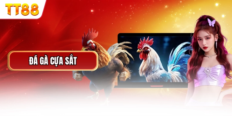 Đá Gà Cựa Sắt