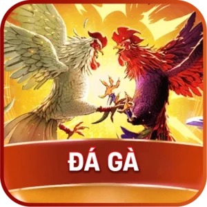 đá gà