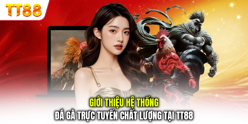 Giới thiệu hệ thống đá gà trực tuyến chất lượng tại TT88