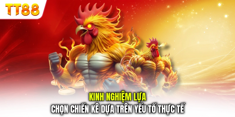 Kinh nghiệm lựa chọn chiến kê dựa trên yếu tố thực tế
