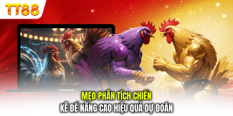 Mẹo phân tích chiến kê để nâng cao hiệu quả dự đoán